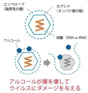 エタノール と アルコール の ちがい